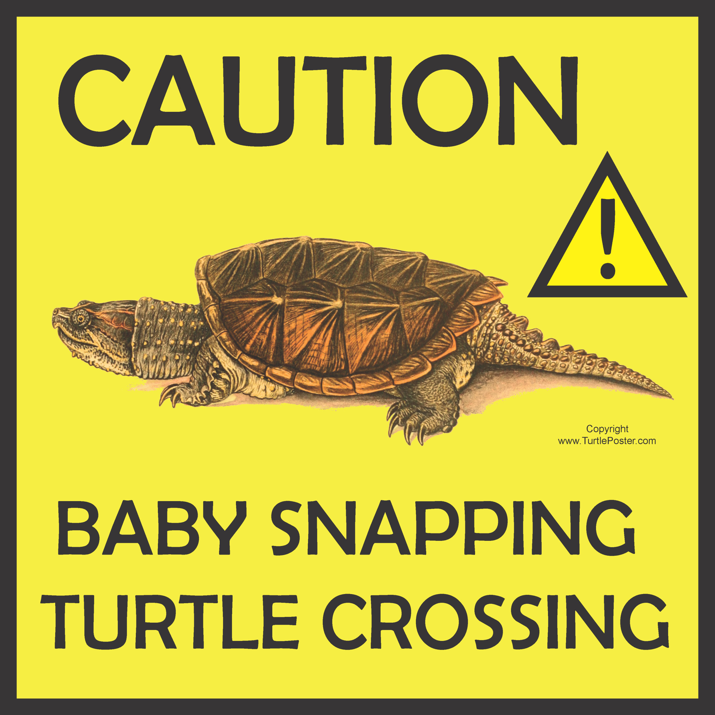 Baby Snapping Turtle Crossing Sign