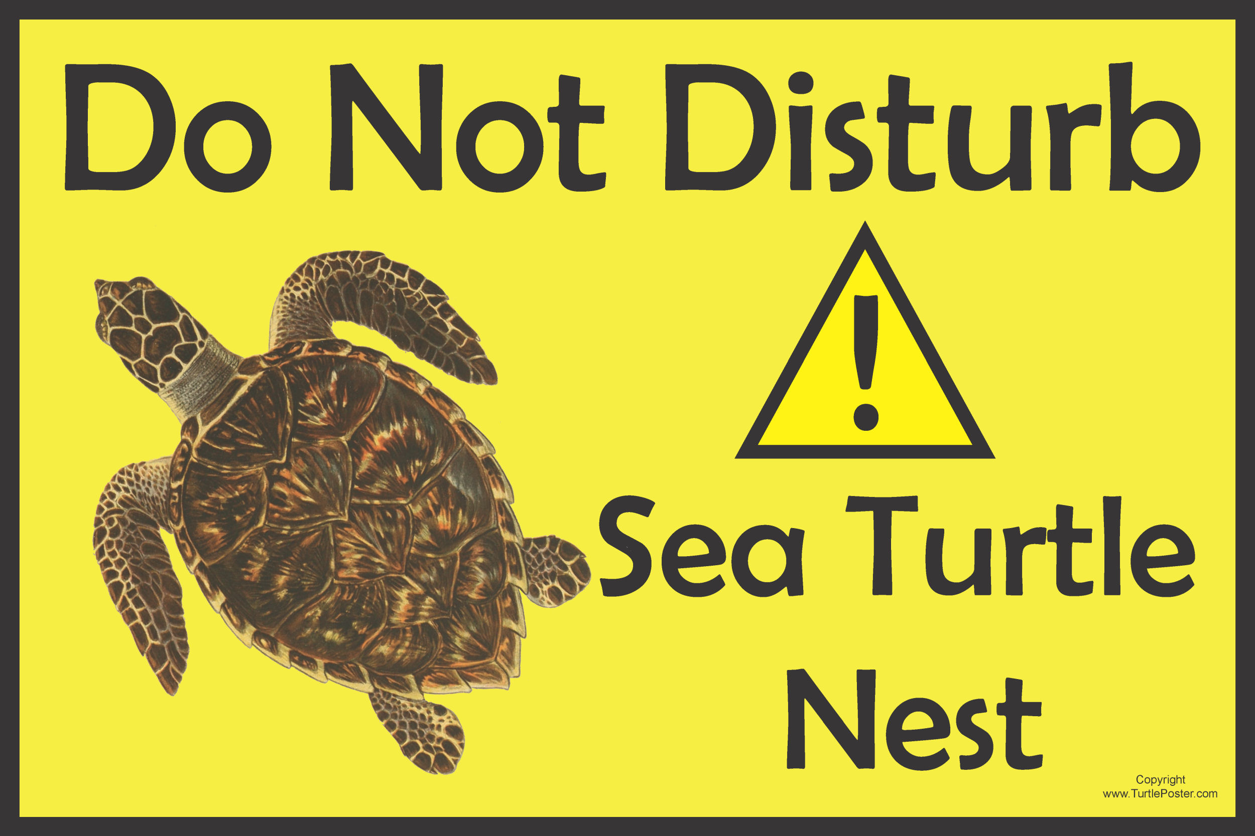 Do Not Disturb Sea Turtle Nest Sign