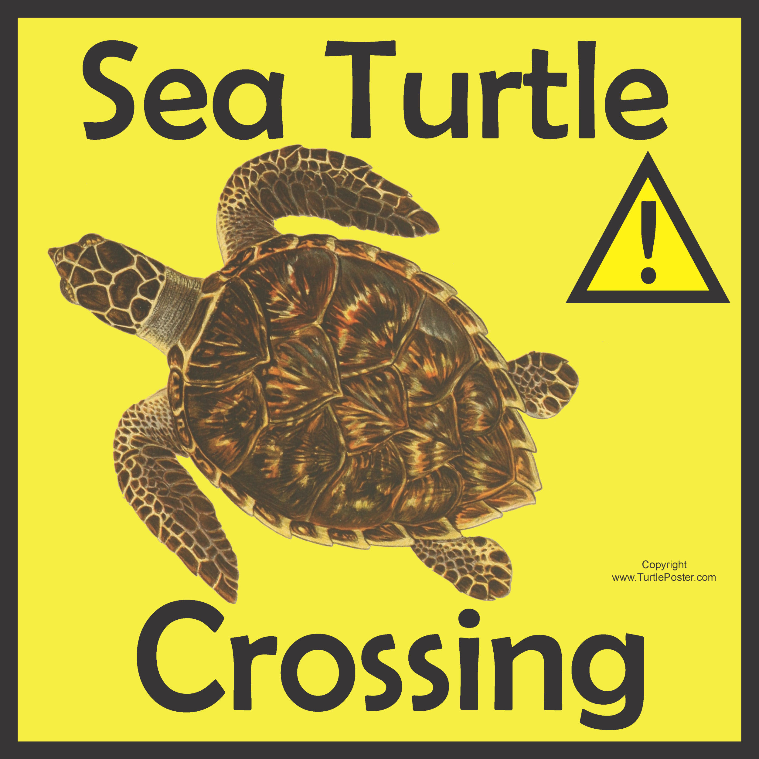 Sea Turtle Crossing Sign